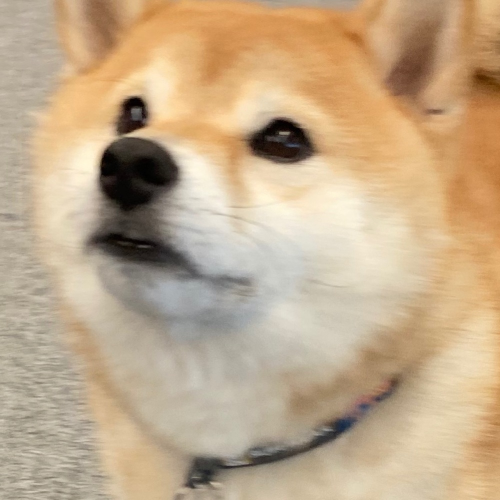 Meet your Posher, Lisa